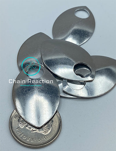 Large Polished Scales