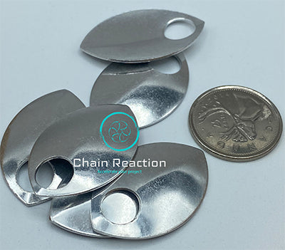 Large Polished Scales